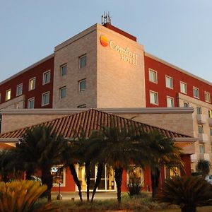 Comfort Hotel Araraquara