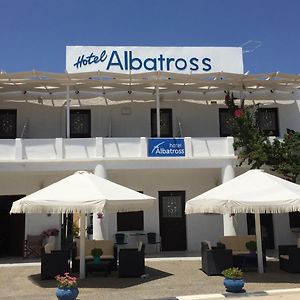 Albatross